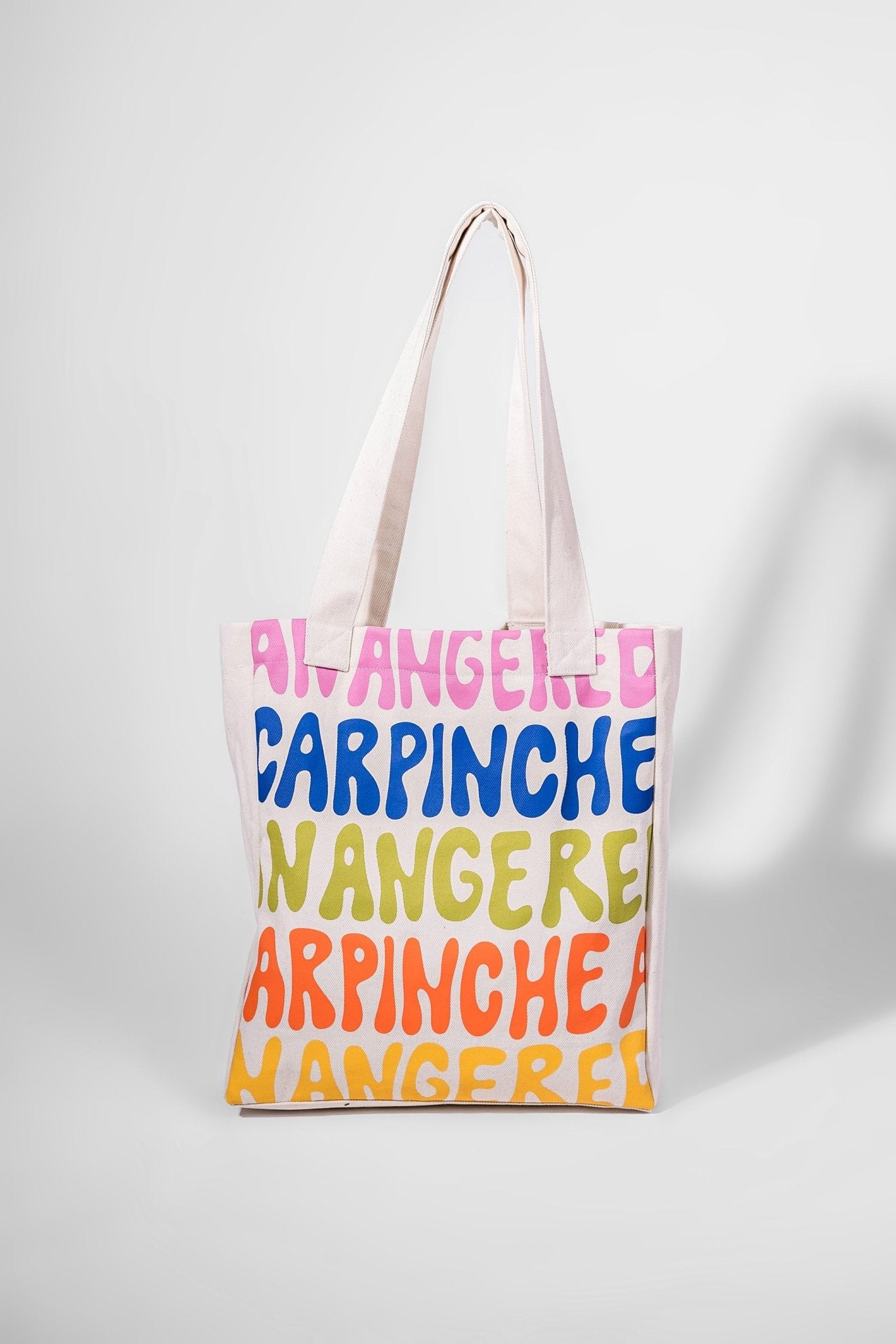 Big Colorful Utility Bag