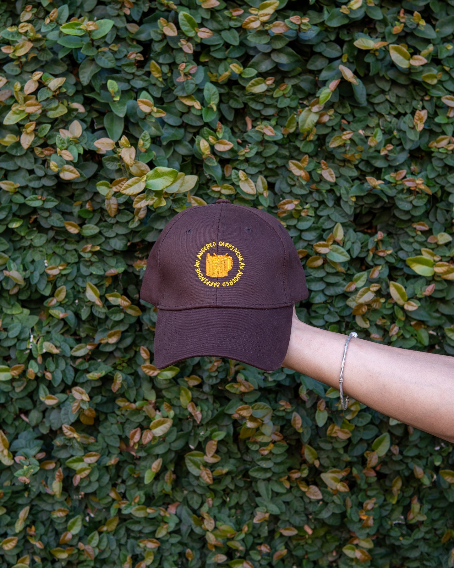 AAC HAT BROWN