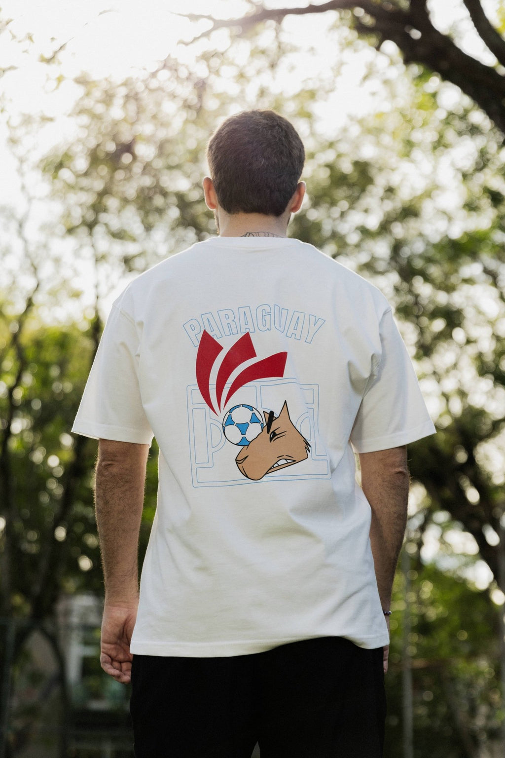 T-Shirt ANGRY ALBIRRO