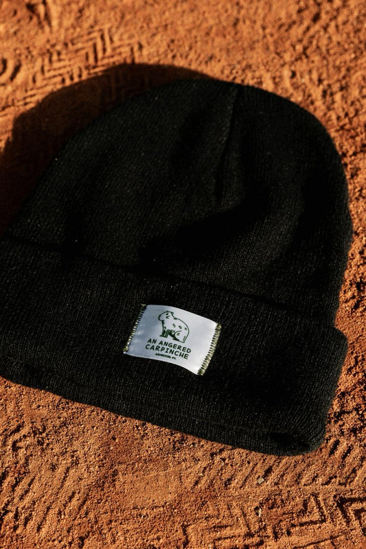 Beanie AAC Black