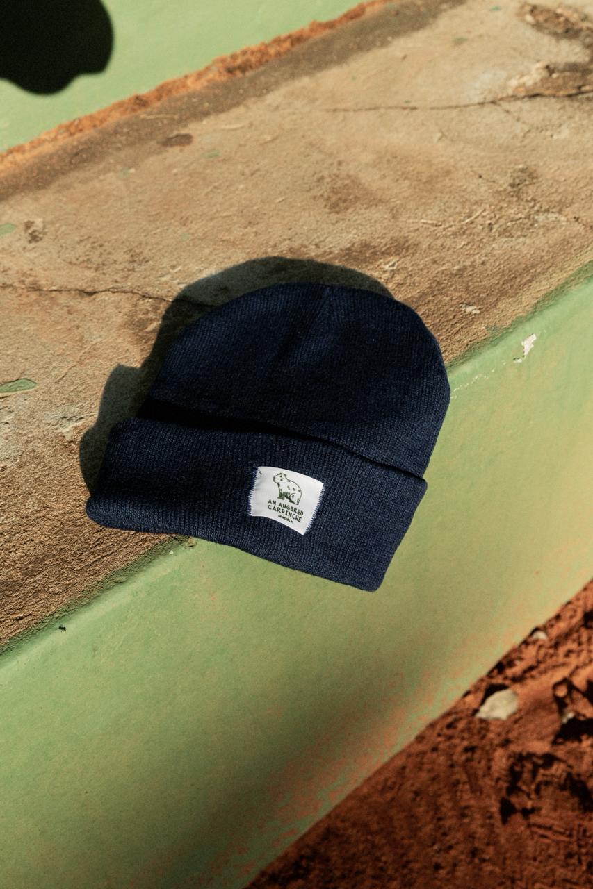 Beanie AAC Blue