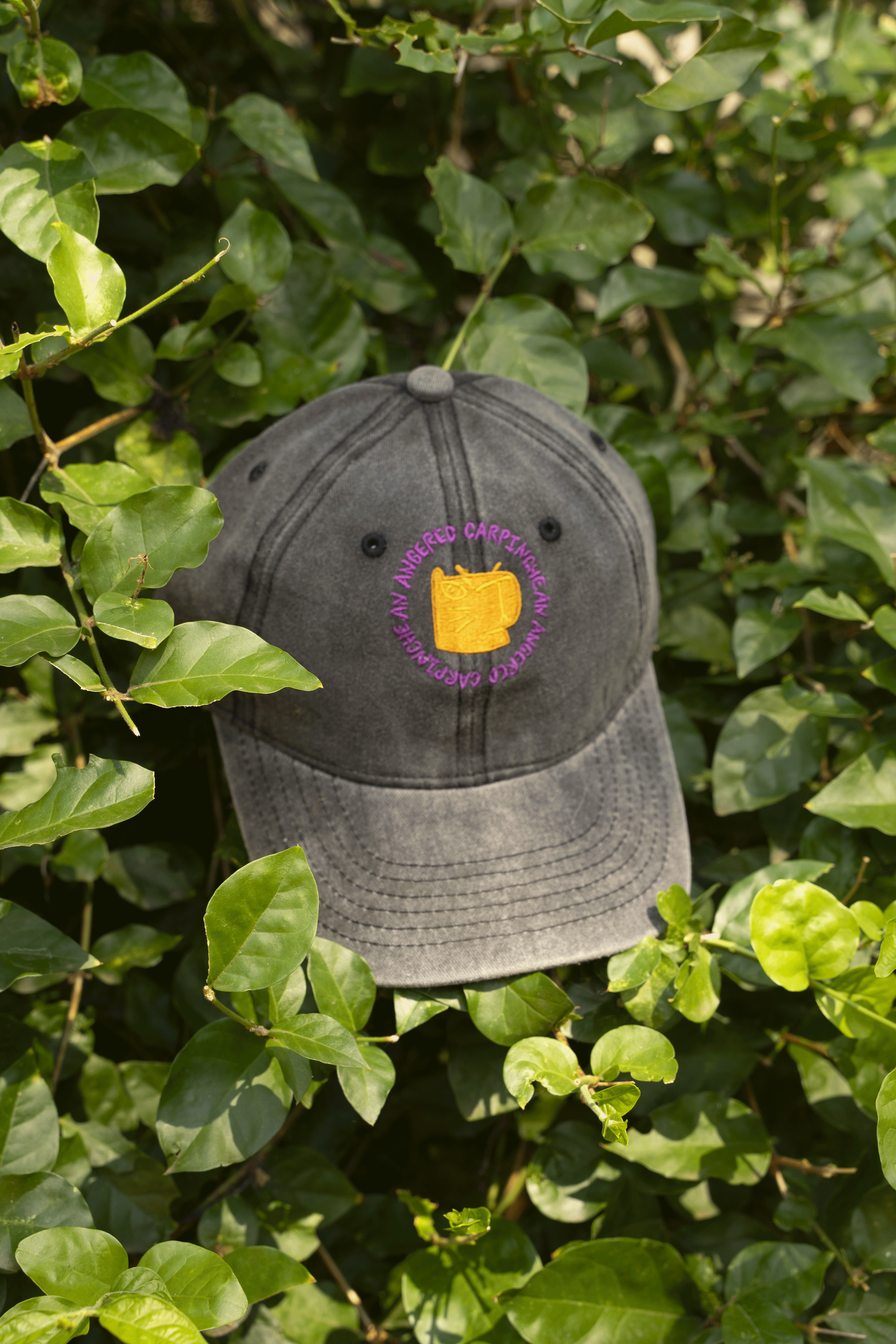 AAC HAT BLACK