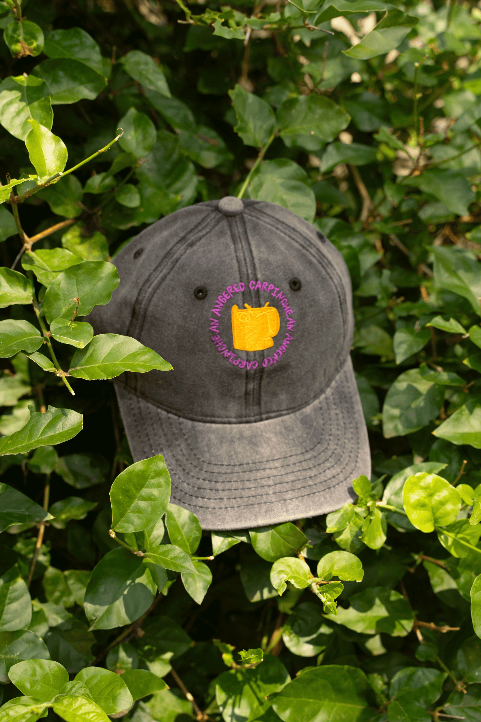 AAC HAT BLACK