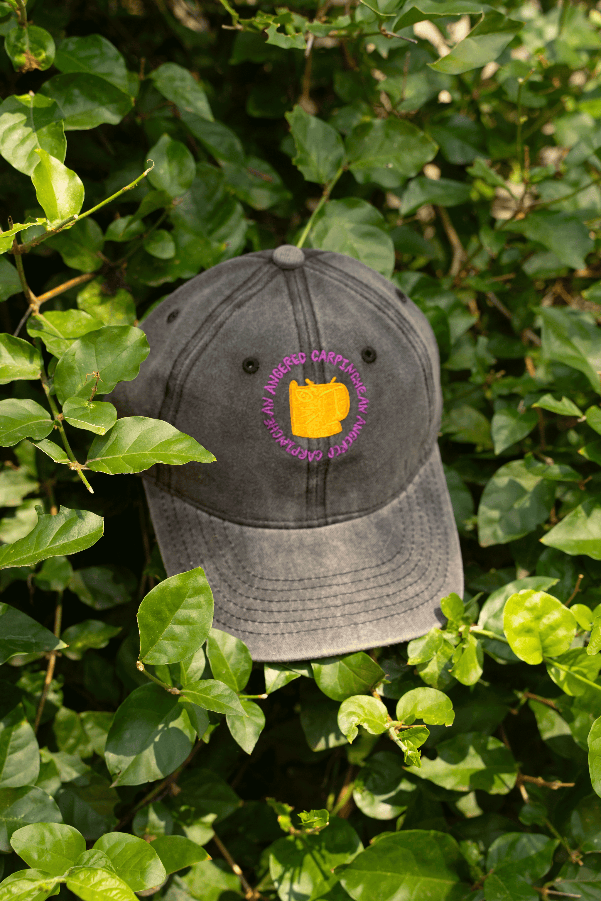 AAC HAT BLACK