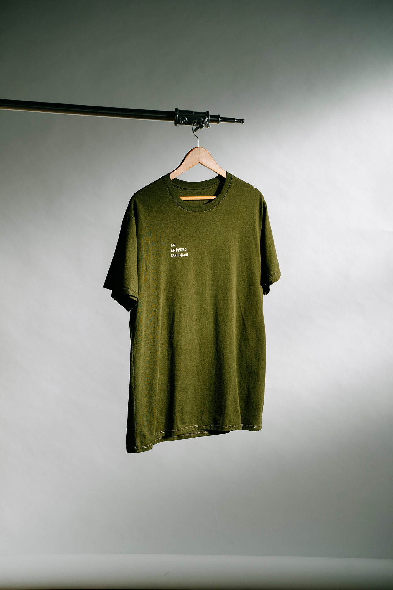 T-Shirt Quijote Verde Femenina